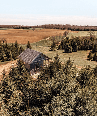 Infrared Sauna Sessions | Buy 9, Get Your 10th Free